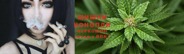 марки lsd Белокуриха