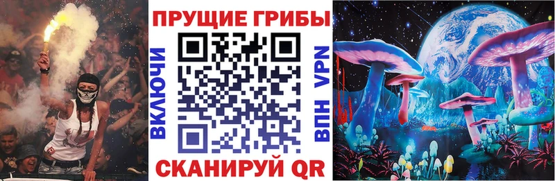 kraken сайт  дарк нет клад  Очёр  Псилоцибиновые грибы прущие грибы  наркота 